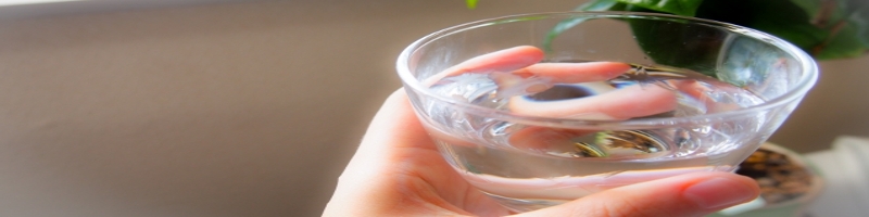 �����搅�������T�C�g